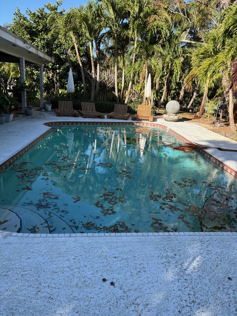 Backyard pool covered in leaves and storm debris before Excel Pool Care service